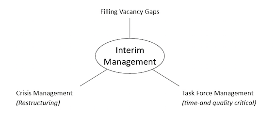INTERIM MANAGEMENT INTERIM MANAGEMENT